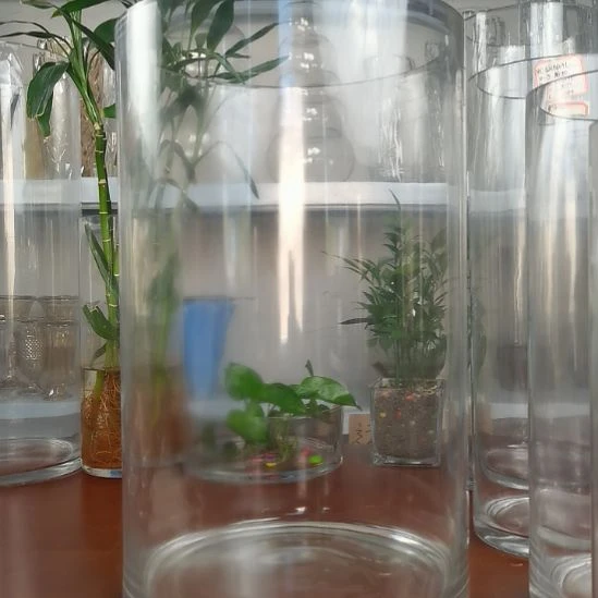 玻璃昌达玻璃直筒高度40口径25
