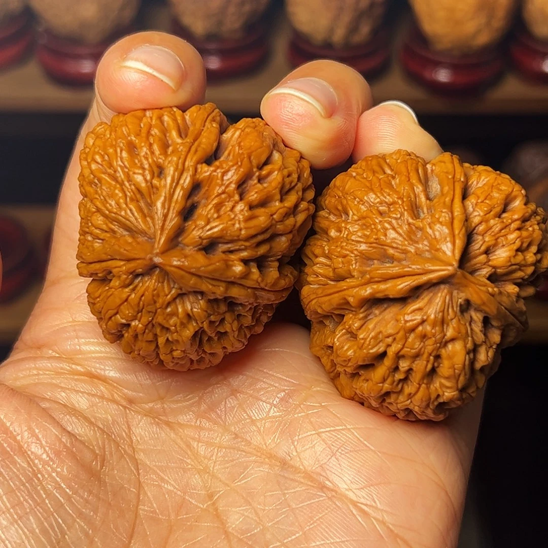 小***）           霹雳锤三棱