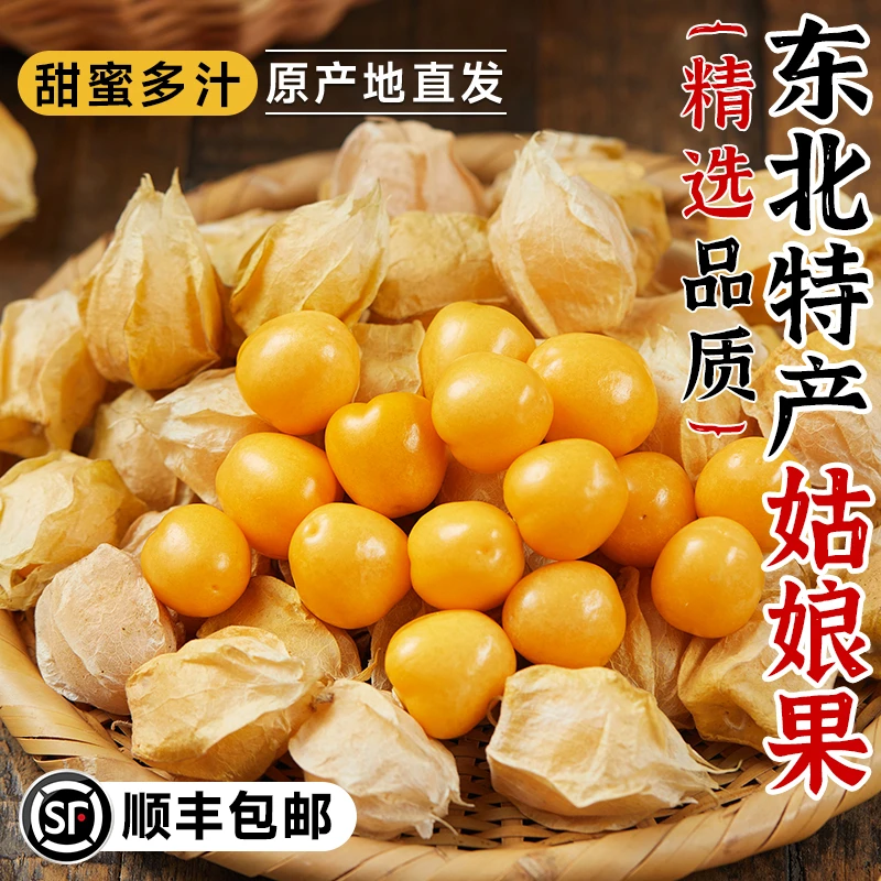 顺丰彩箱东北姑娘果菇娘果黄金灯笼果新鲜水果黑龙江洋菇娘大果