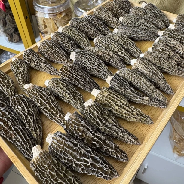 精选正品云南野生茵羊肚菌新鲜干货头茬新货特级菌菇精品箘批发