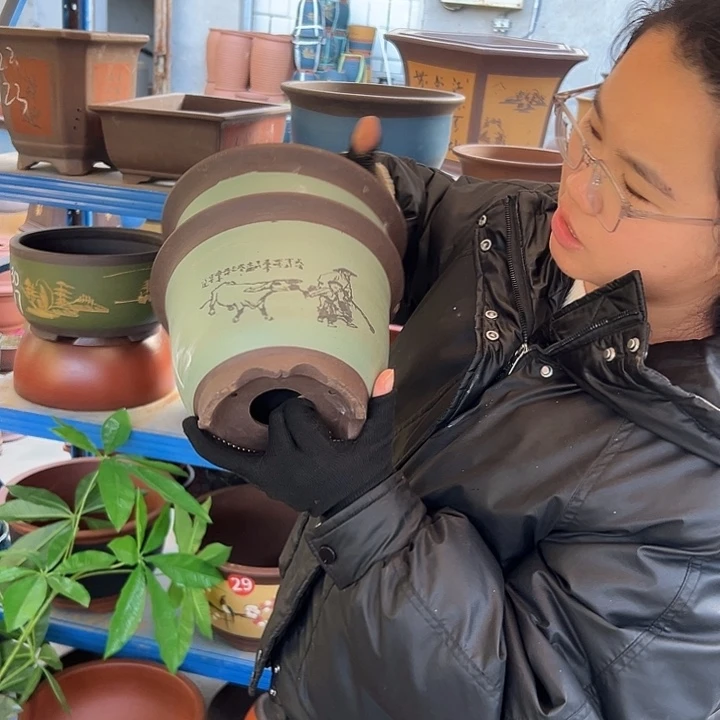 20+20绿放牛娃平角金钟花盆