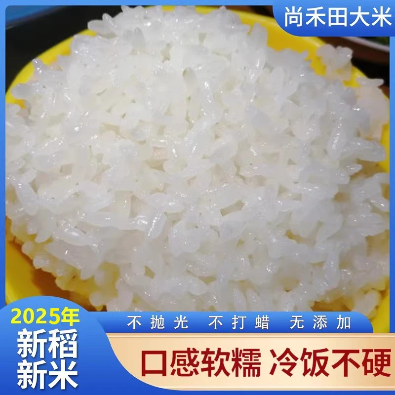 尚禾田2025年江苏新米南粳5055常州大米 10kg软糯香米南粳米 20斤