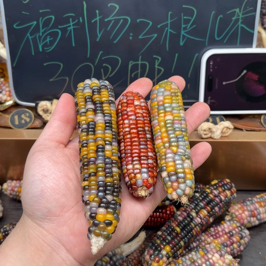 柏香籽/百香籽吊坠莎**儿