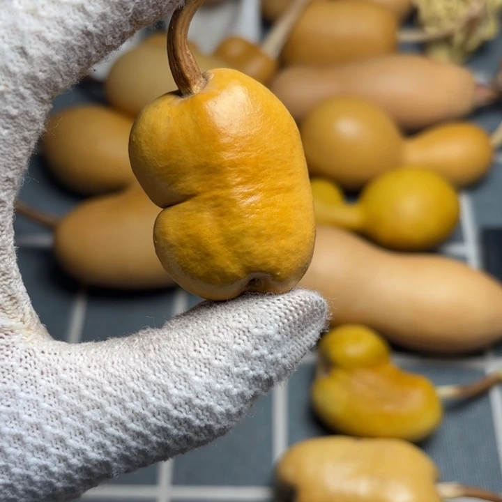 *****666666666666666666