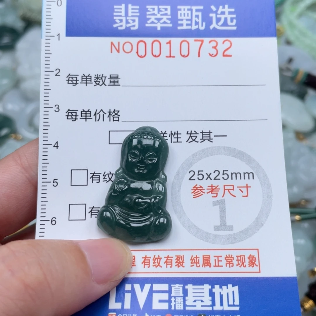 颈饰未镶嵌翡翠10732