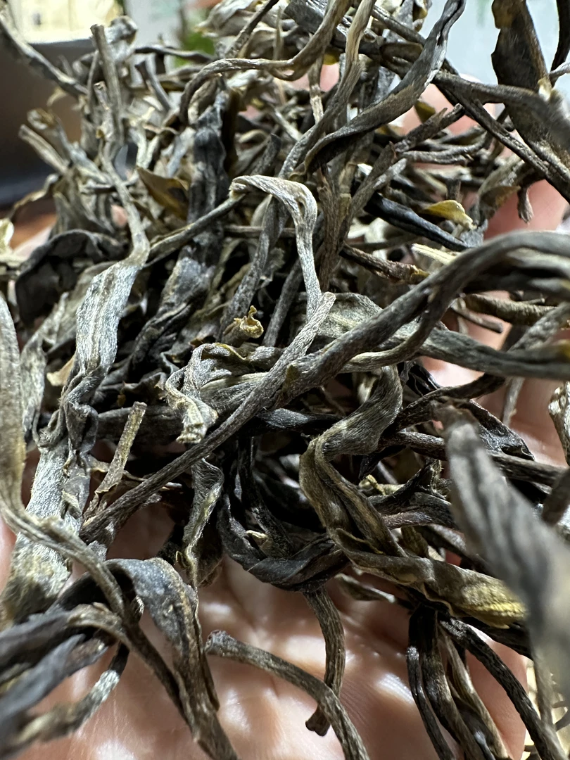 2023坝糯藤条早春