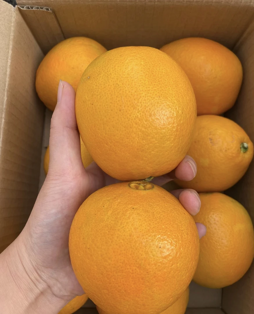 正宗江西赣南脐橙农家甜橙子现摘新鲜水果不催熟产地直发5斤10斤