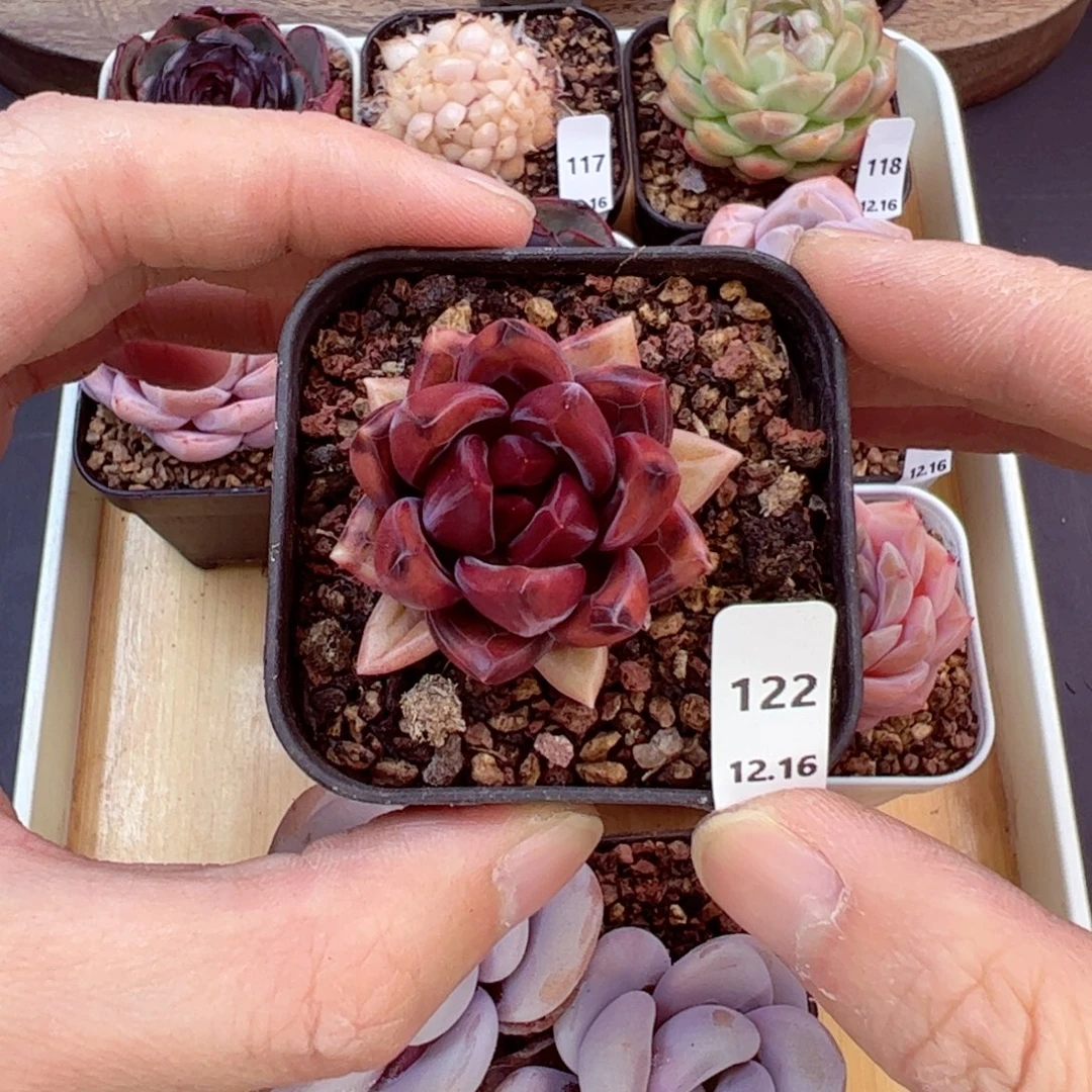 好好看122、哈哈哈哈