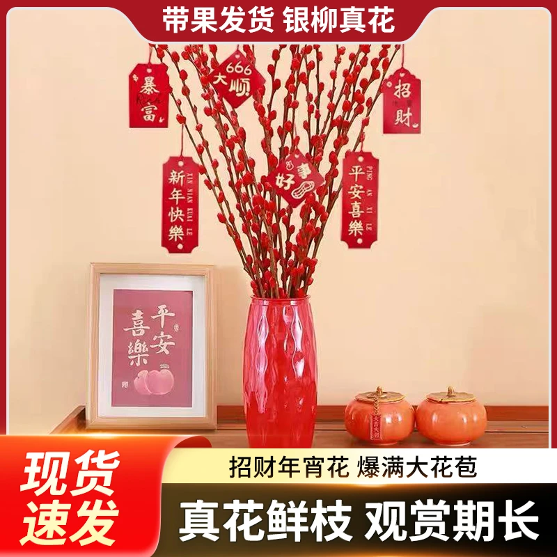 招财红色银柳干花真花鲜枝水培植物年宵花卉客厅室内装饰