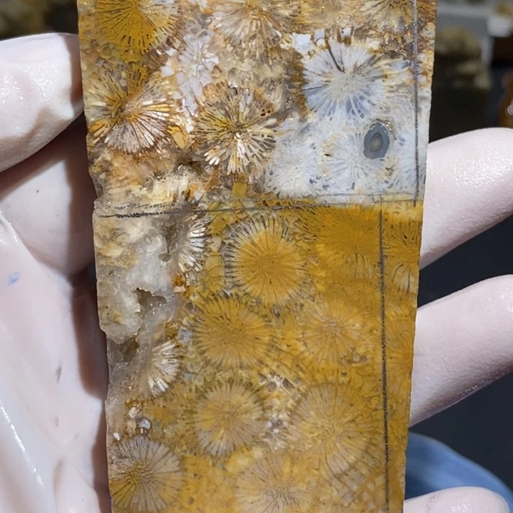 【闪购商品】未镶嵌珊瑚玉硅化玉