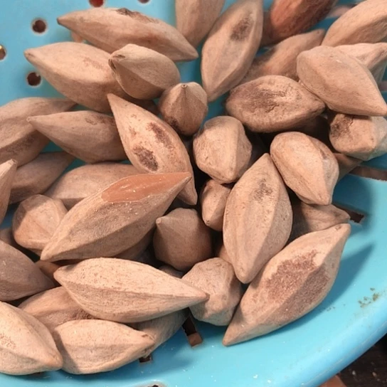 进口核颜色好红红的