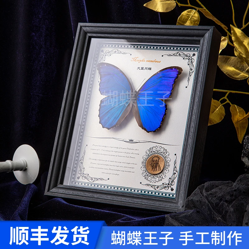 大蓝闪蝶标本浪漫相框蝴蝶手工情感艺术标本浪漫送礼治愈蝴蝶标本