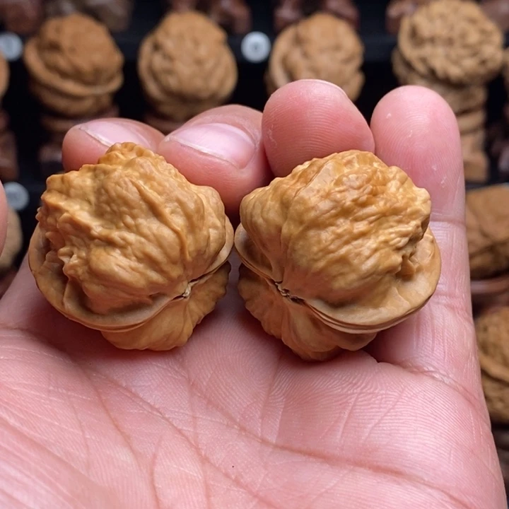 把件文玩核桃16虫皇……