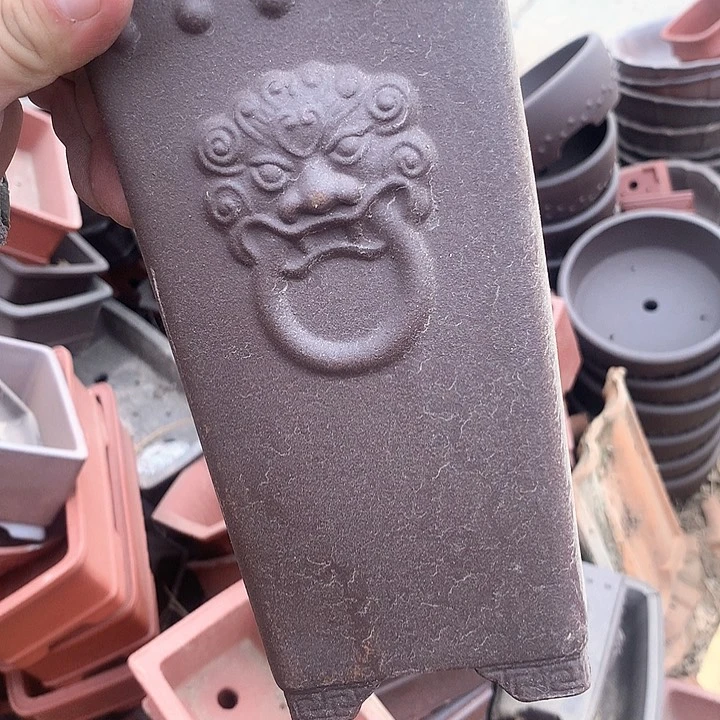 紫砂优秀青年科技人才创新