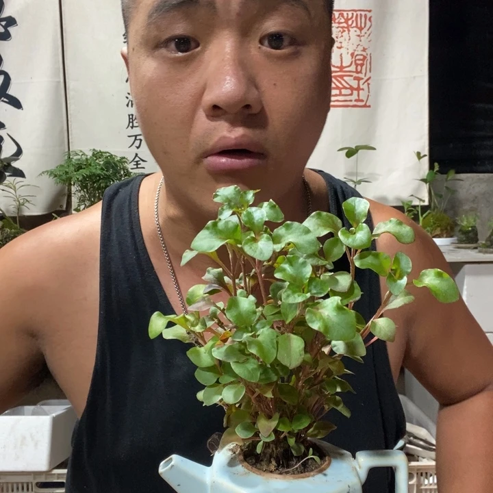 无花朵退款拉黑拉黑103