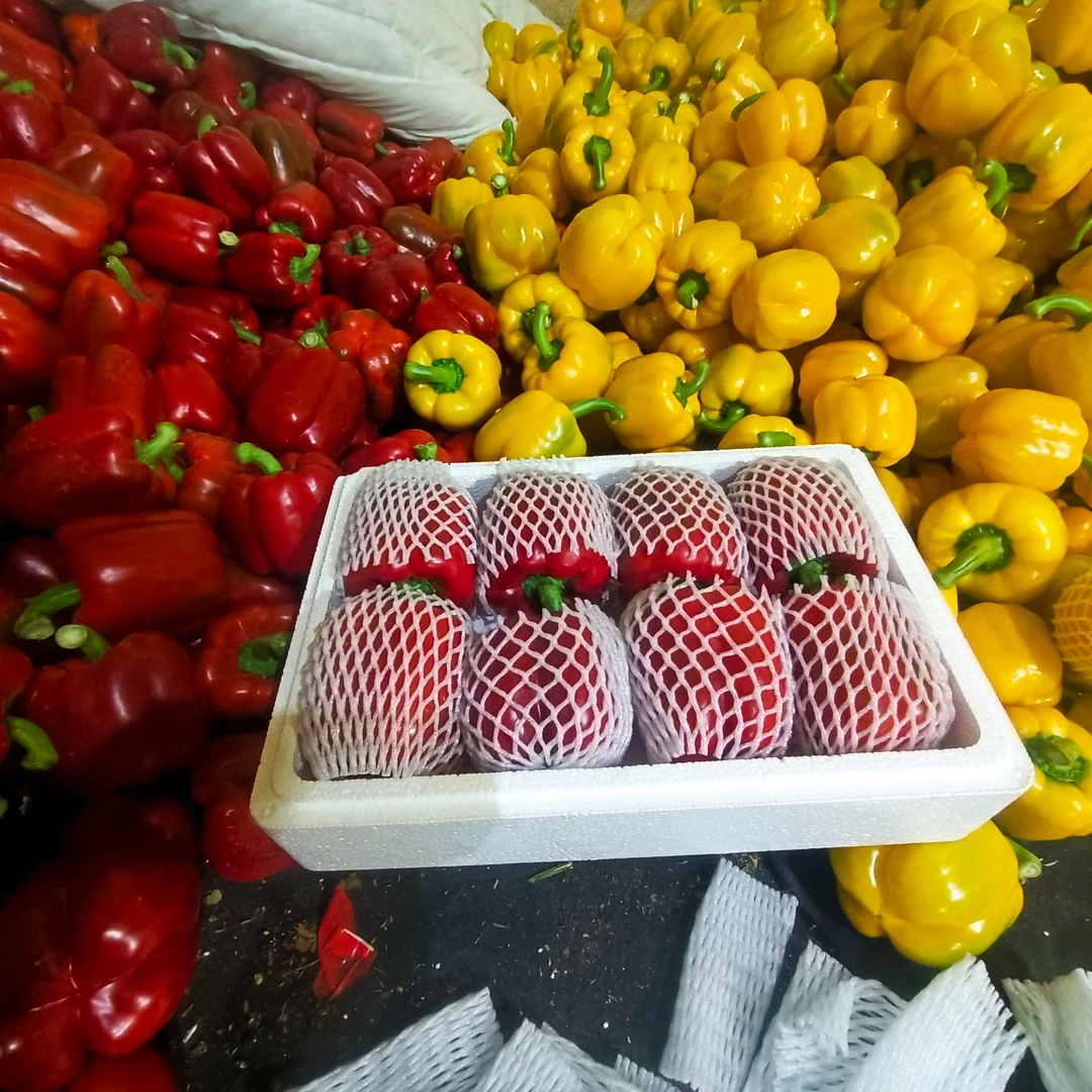 【五彩椒】红黄绿椒新鲜甜灯笼椒现摘高VC水果椒沙拉配菜单果50g起