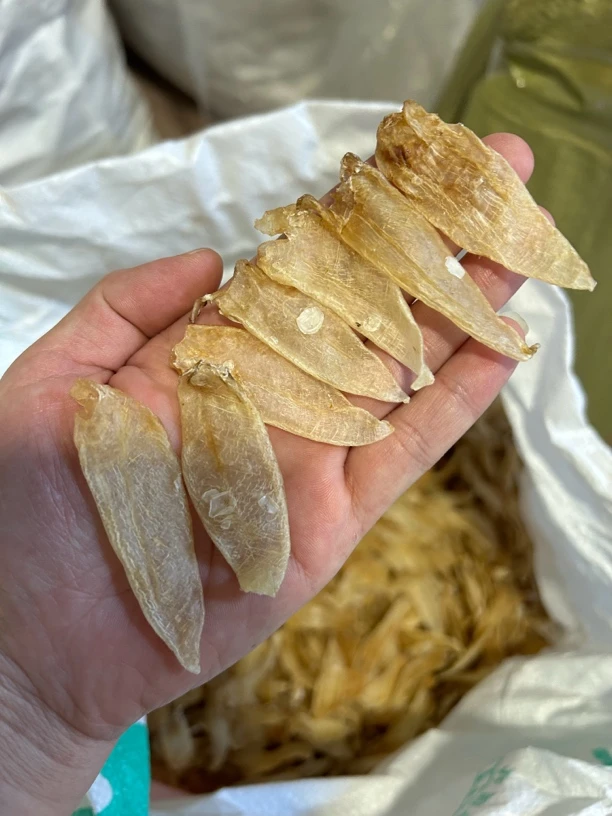 500头野生白花纯印白500g