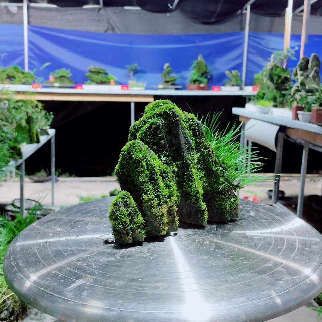 清***风无花朵你要好好休息好自己知道吧