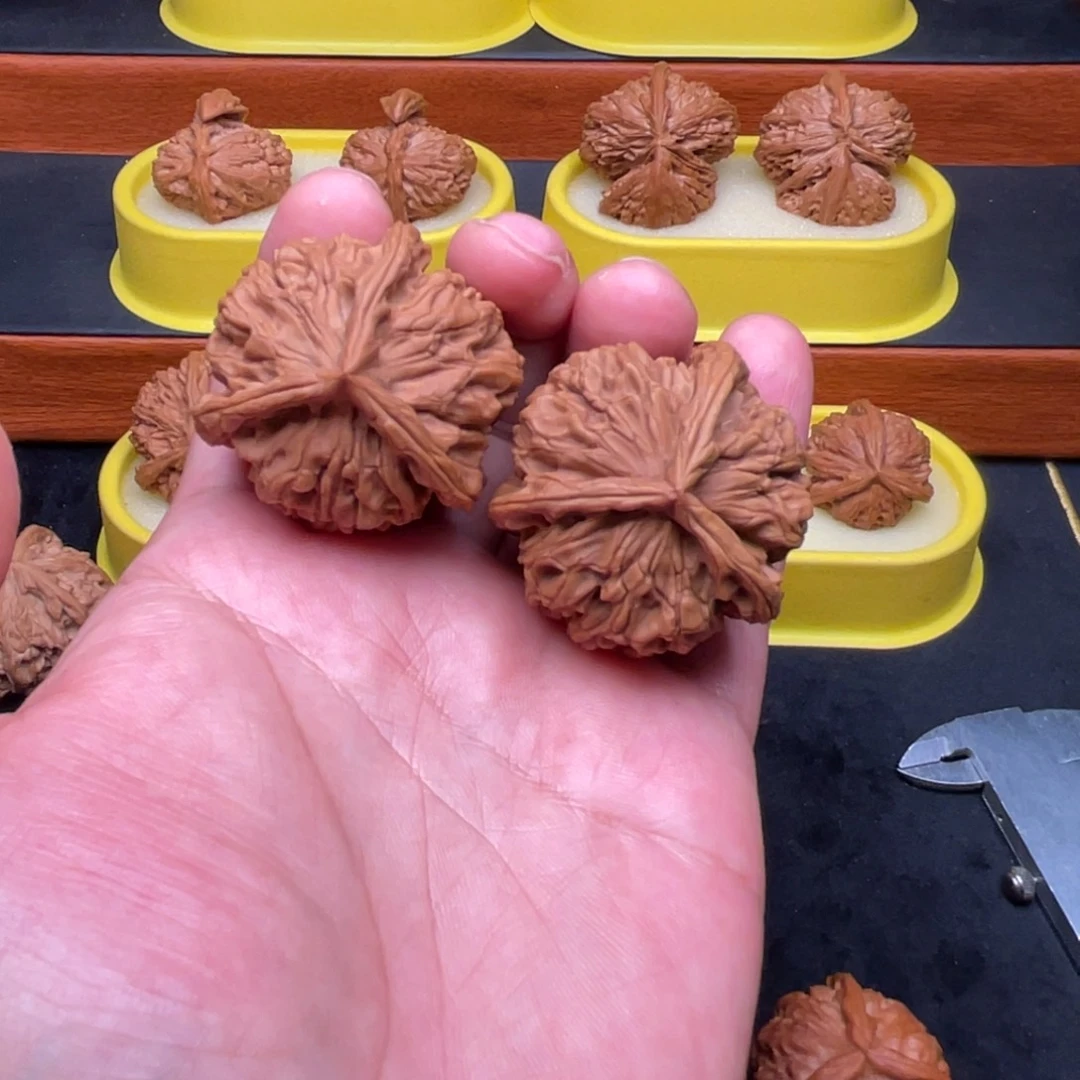 核桃手串/手链邢台元宝全品正奔44