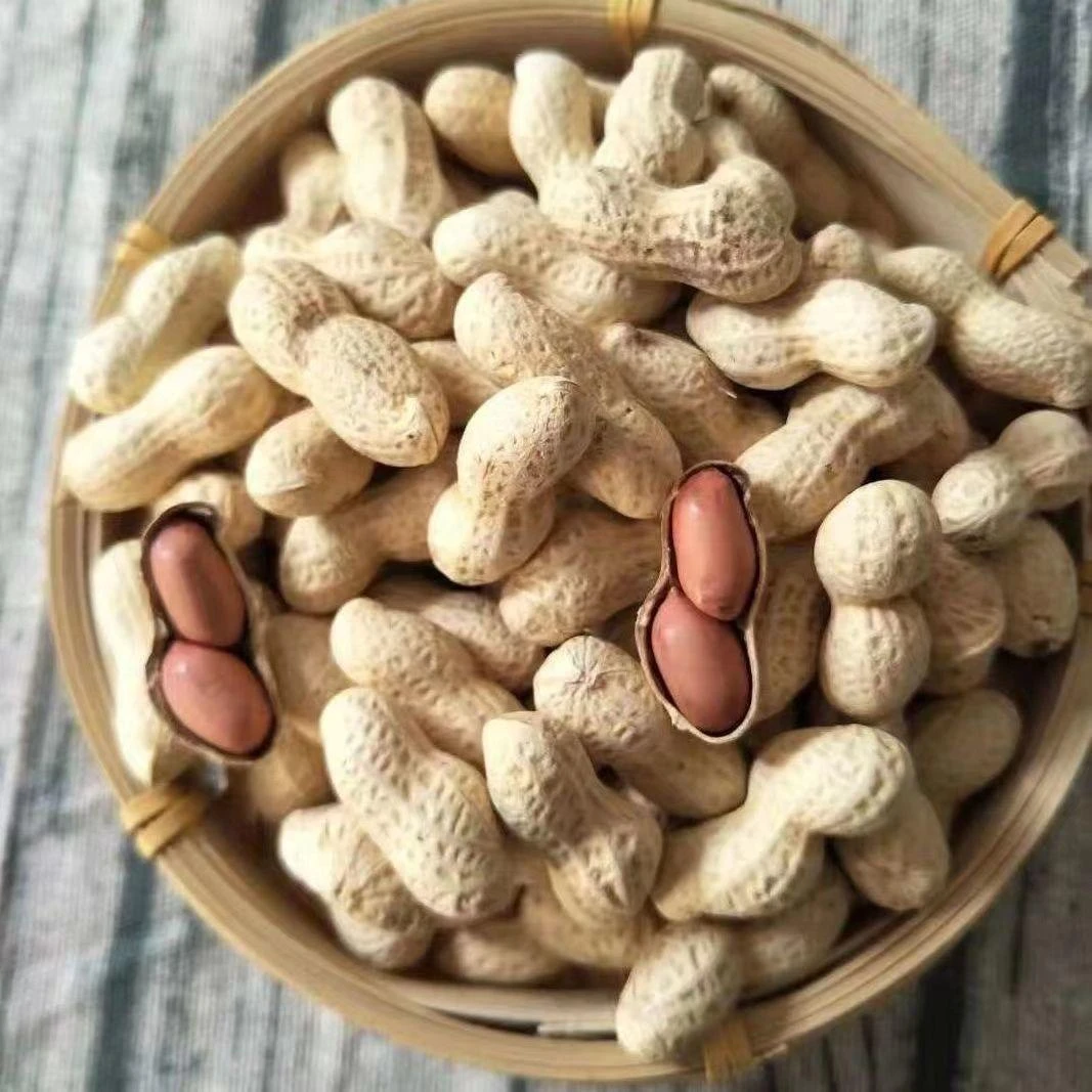 新货原味花生休闲零食香带壳饱满皮薄香解馋零食下酒菜