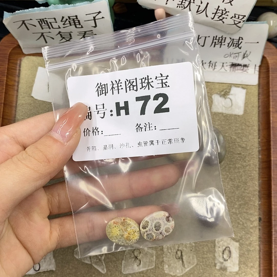 硅化珊瑚（珊瑚玉）未镶嵌颈饰1*2