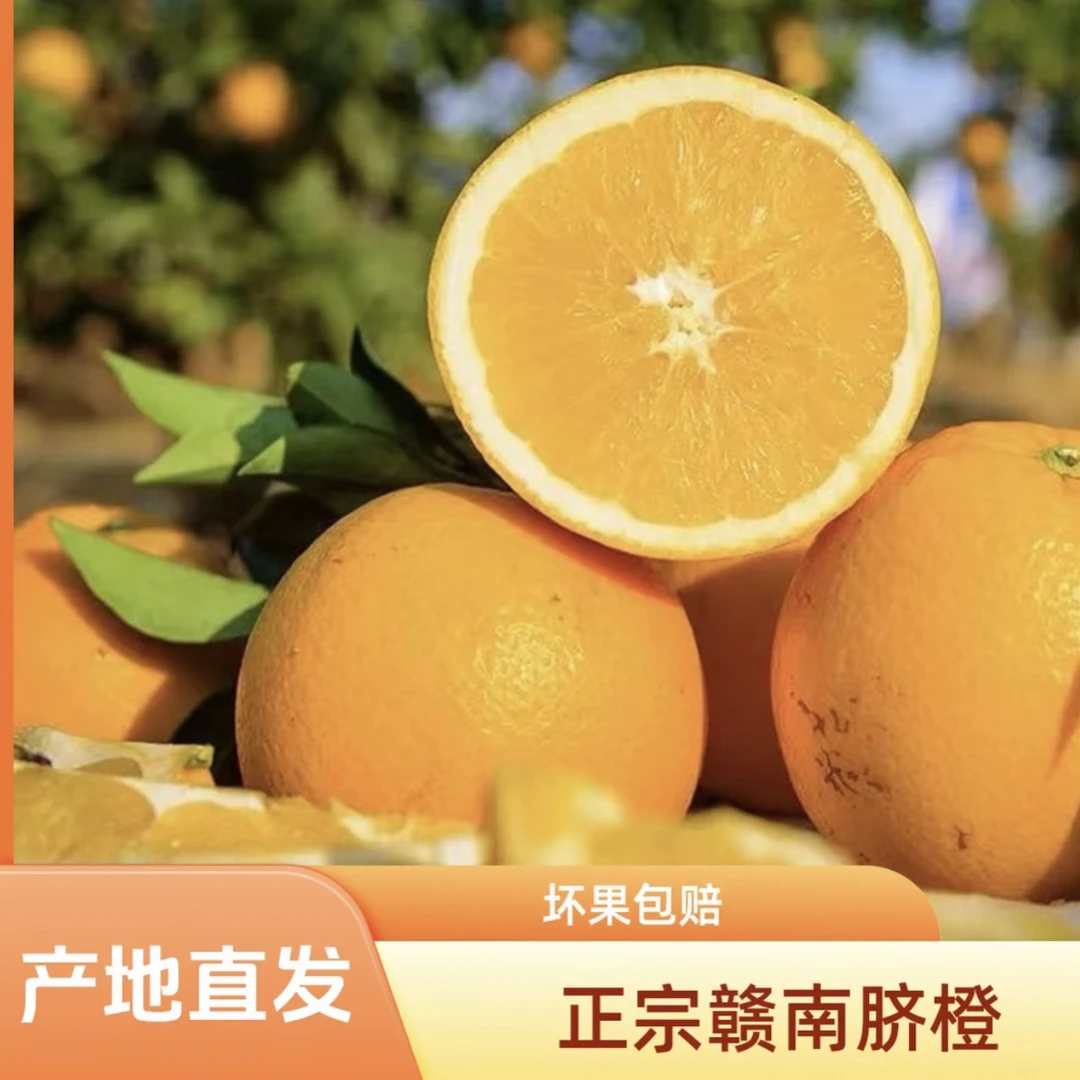 赣南脐橙果农自家果园现摘现发新鲜可口