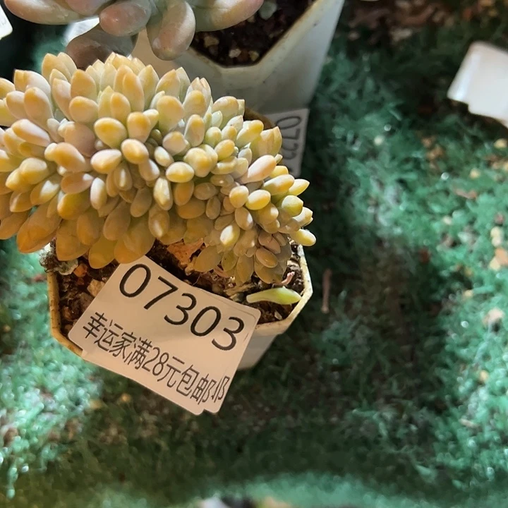 幸运的是我还没遇到