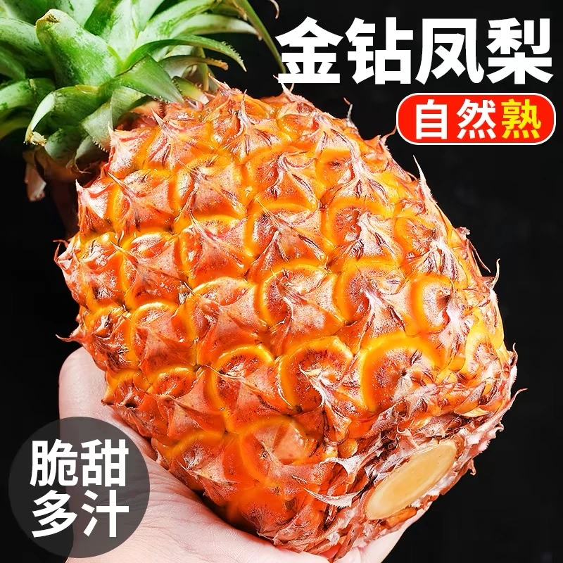 海南金钻凤梨树熟应季孕妇水果非菠萝无需泡盐水批发包邮