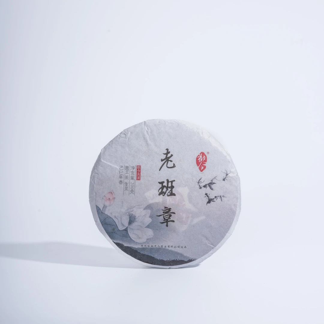 觀今【2025年春 老班章】普洱生茶 200克