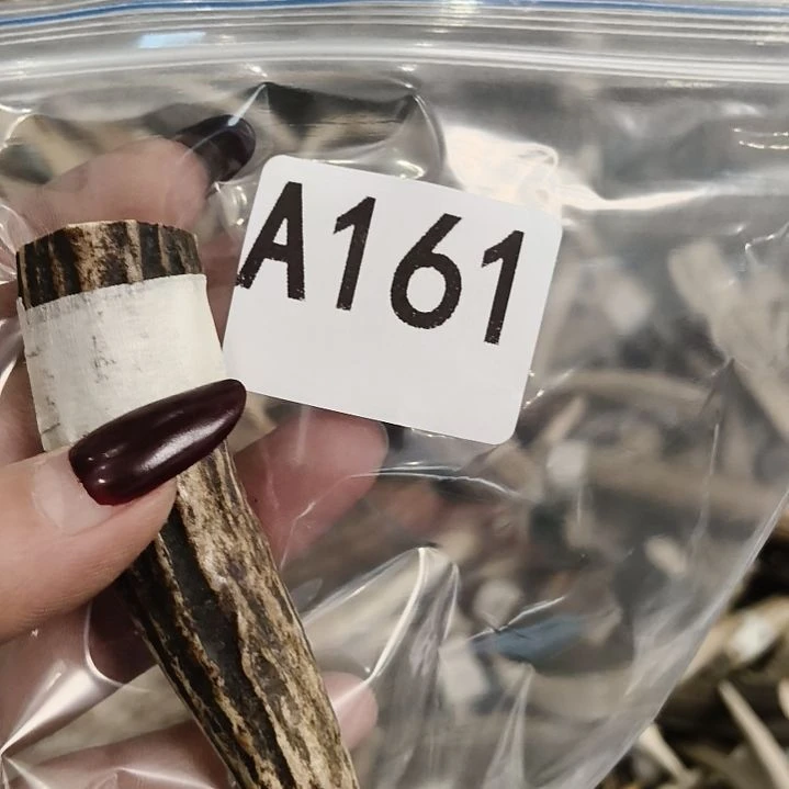 闲***事鹿角鹿角鹿角鹿角鹿