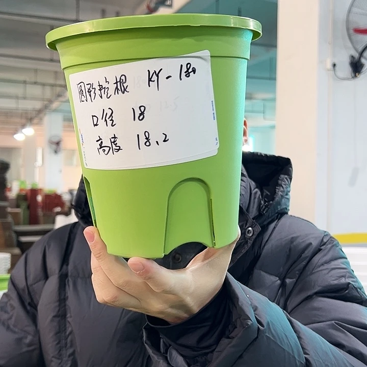 正品圆控口18高18果绿无托8只