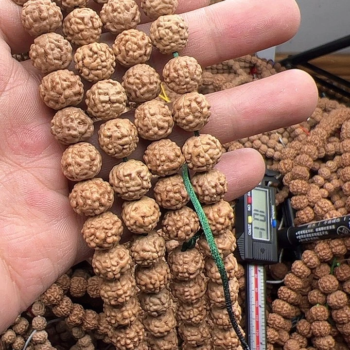 金刚菩提手串昊*蛤蟆