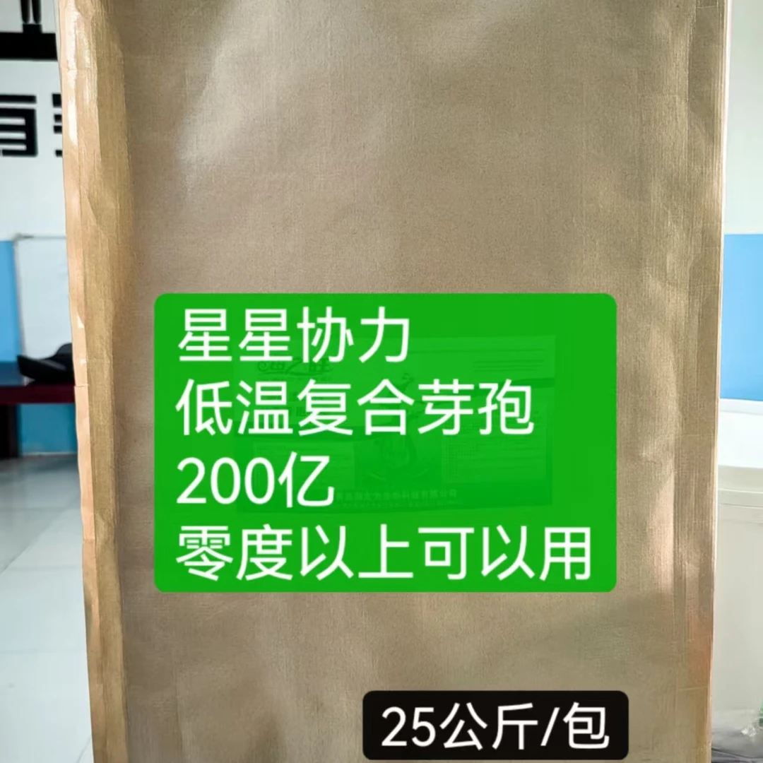 嗜冷复合芽孢200亿零度以上可以用净水控青苔蓝藻抑制弧菌预防蓝