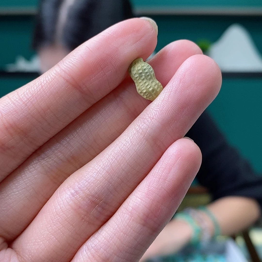 白***光绿松石未镶嵌珠宝奇石