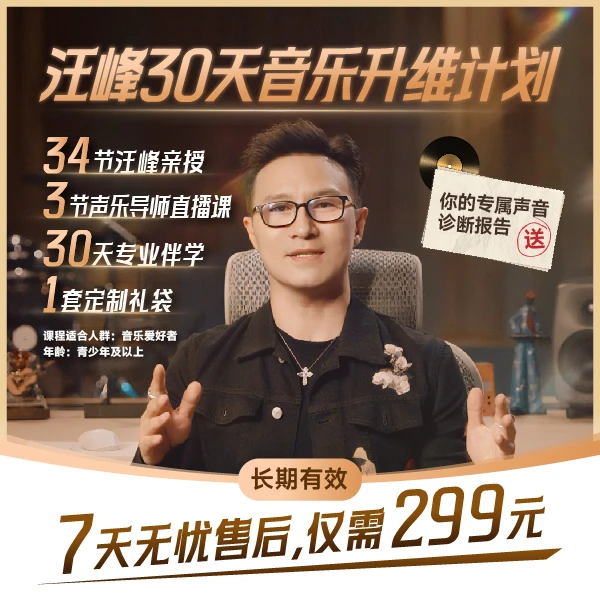 未来音乐·【汪峰教你学音乐】30天音乐升维计划 音乐课