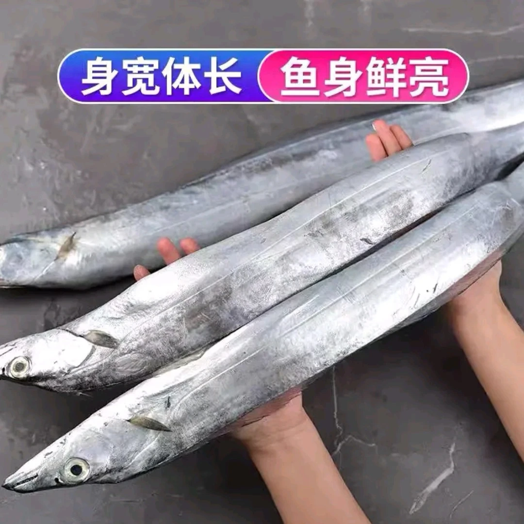 吕四渔港 新鲜1斤上带鱼 现称 顺丰包邮
