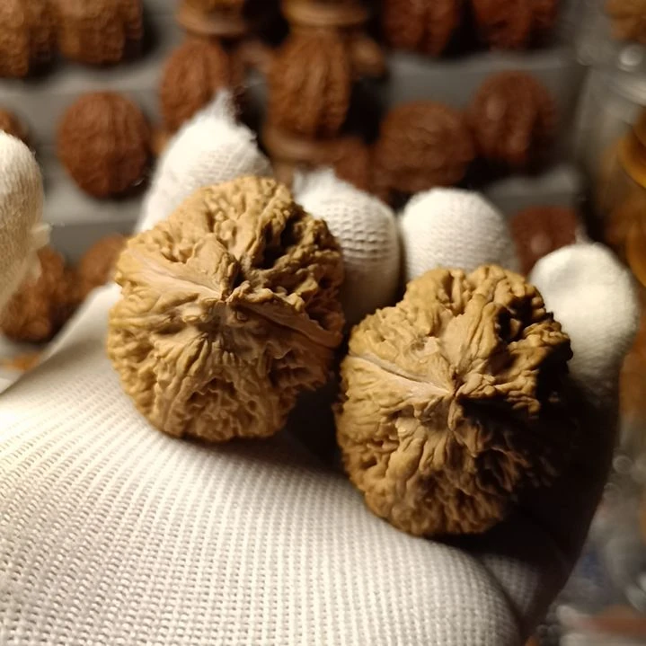 文玩核桃吊坠兵****月大楸子核桃10号