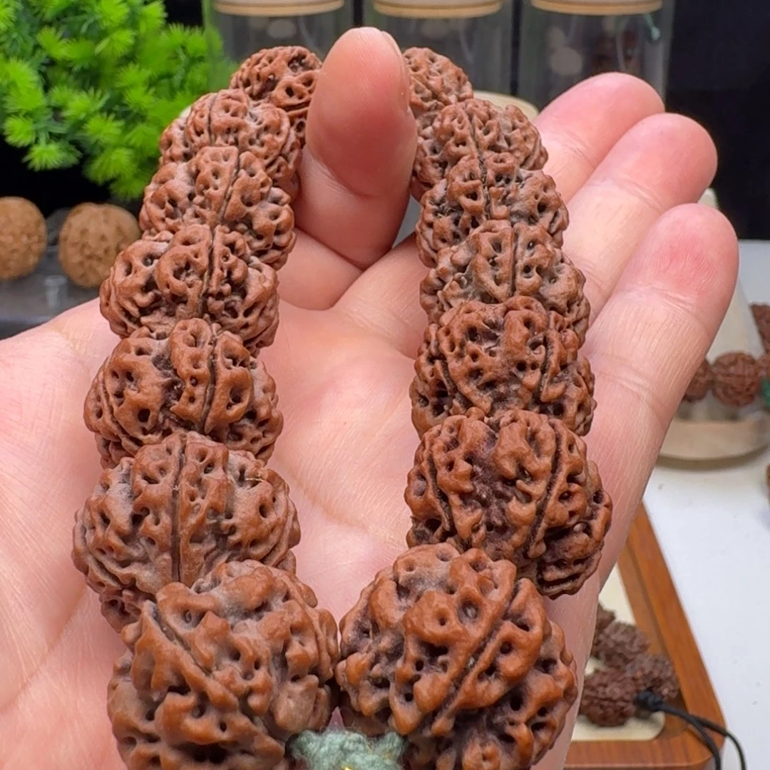 手串金刚菩提双龙