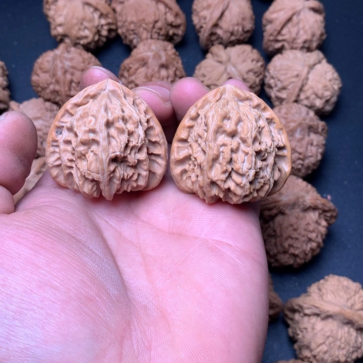 把件文玩核桃40白狮子24