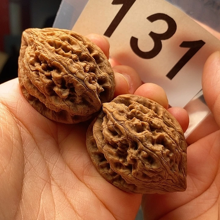 核桃全品37尺大沽石131号