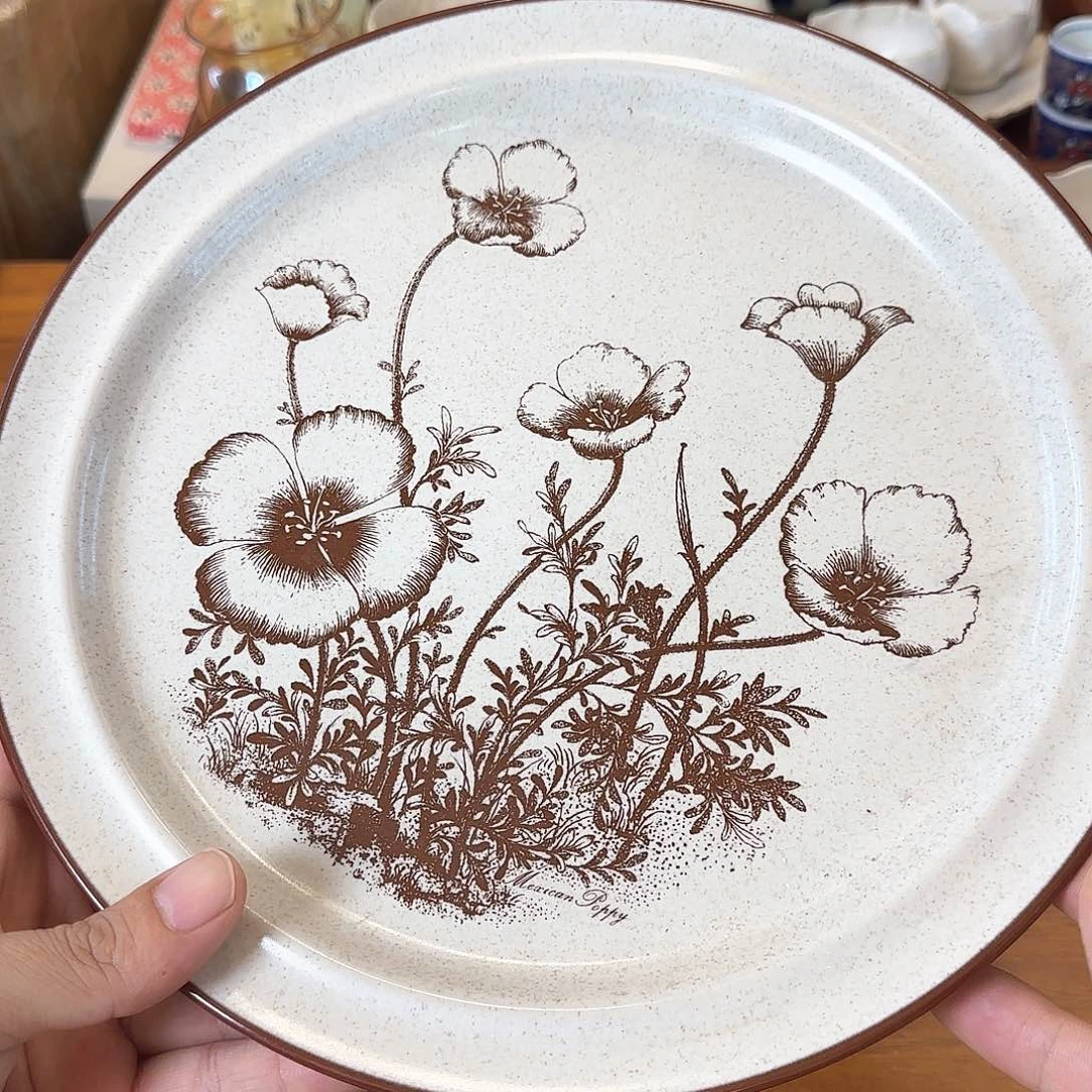 在线用户不可以下载软件