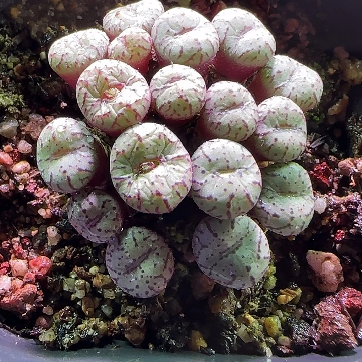 安贞群。               63366