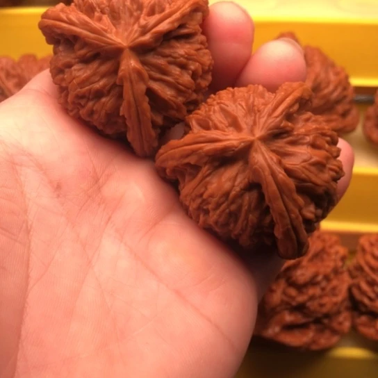 ****。核桃核桃核桃和他的