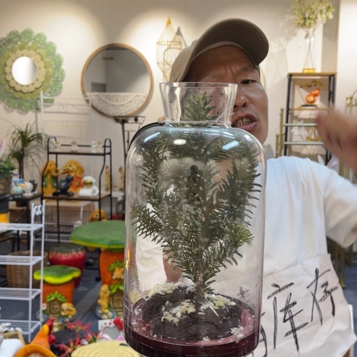 摆件哈哈哈哈哈哈哈哈