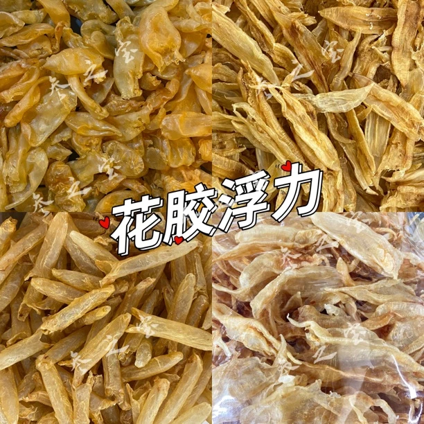 【赤嘴公】34头赤嘴公 花胶 鱼鳔