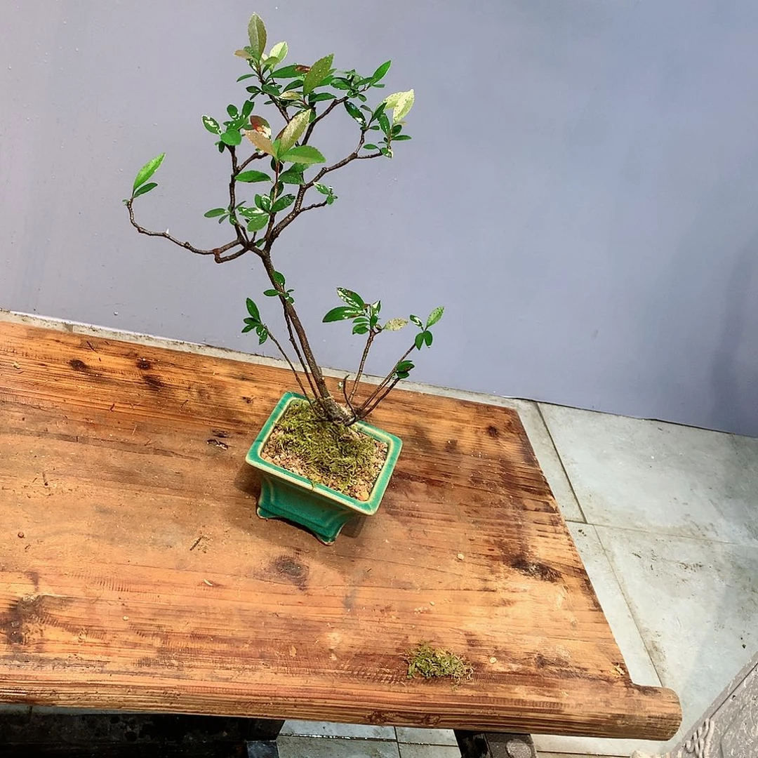 用****3和我一起去看电影吧我想去看看电影