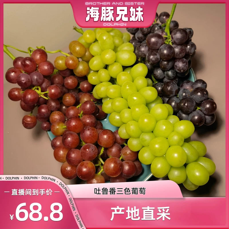 新疆特产吐鲁番三色葡萄产地直供内地分仓顺丰冷运当季鲜果