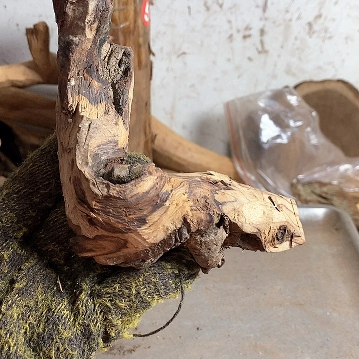 黄花梨/降香黄檀鑫*