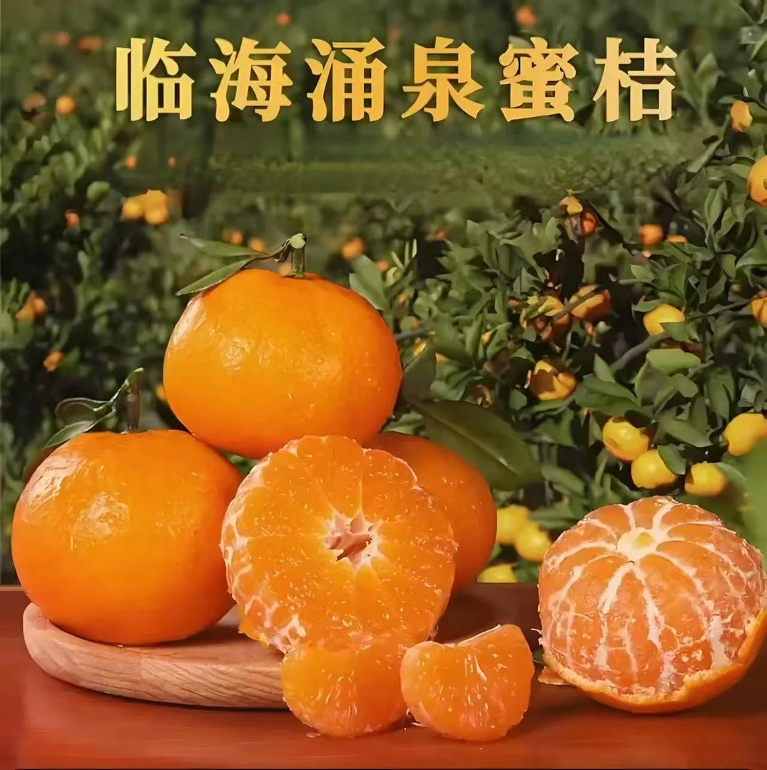 浙江临海涌泉蜜桔头茬果试吃装超级好吃当季水果礼盒