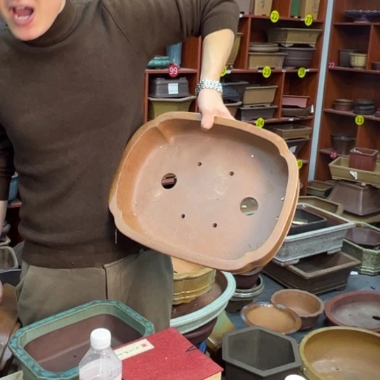 用***3紫砂花盆中香气浓重